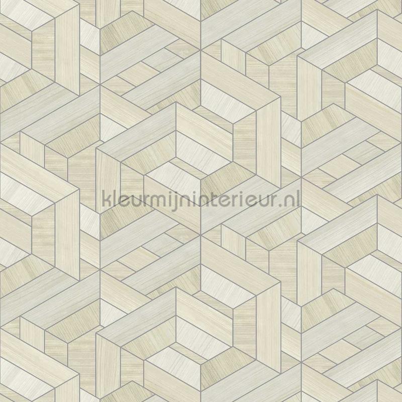 Labyrinthe papel de parede ET301 especial Dutch First Class