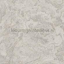 Marble cloud Taupe tapet Dutch Wallcoverings Vintage Gamle 