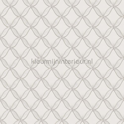 Geometric white behaang FT221221 roijtjes Dutch Wallcoverings