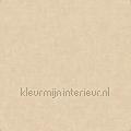 Linen beige behang FT221263 uni kleuren Motieven