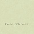 Linen green tapeten FT221268 uni farben Motive