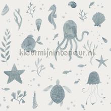 Della ocean blue tapeten Sandberg weltraum 