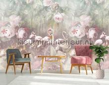 Flamingo Found light papier murales ink7554 Floral Utopia Behang Expresse