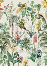 Tropical morning behang Behang Expresse romantisch modern 