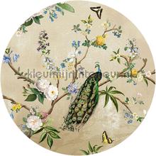 114486 decoration stickers Behang Expresse all images 