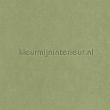 Cotton touch vert cactus tapeten Casadeco Flower Market FLOM82387512