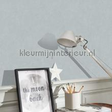 Cotton touch gris bleute tapeten Casadeco Flower Market FLOM82389338
