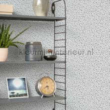 Myosotis bleu marine blanc tapeten Casadeco Flower Market FLOM89236228