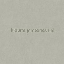 Cotton touch gris etain tapet Casadeco Gardens GADN82389788