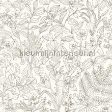 Esquisse noir gravure tapet Casadeco Gardens GADN87599267