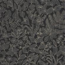 Esquisse noir fusain wallcovering Casadeco Vintage- Old wallpaper 