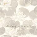 Nymphea blanc coton papel de parede GADN87630122 flores Motivos