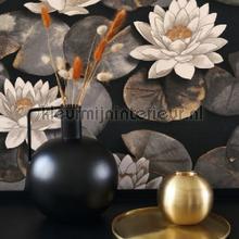 Nymphea noir fusain tapet Casadeco Gardens GADN87639874