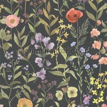 Fleurs des champs noir fusain wallcovering Casadeco Vintage- Old wallpaper 