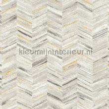 Hongaarse punt wallcovering AS Creation Geo Effect 383093