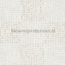 Zoom in en uit papier peint AS Creation Geo Effect 383521