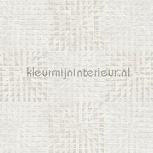 Zoom in en uit wallcovering AS Creation Geo Effect 383521