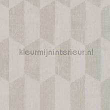 Zeshoekig ritme wallcovering AS Creation Geo Effect 385922