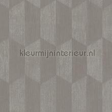 Zeshoekig ritme wallcovering AS Creation Geo Effect 385923