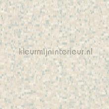 120604 papier peint AS Creation Geo Effect 385931