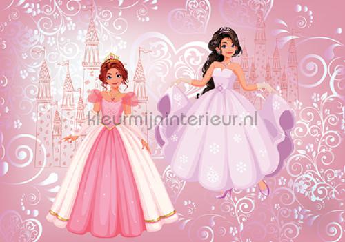 2 princesses and their castle photomural Girls Kleurmijninterieur