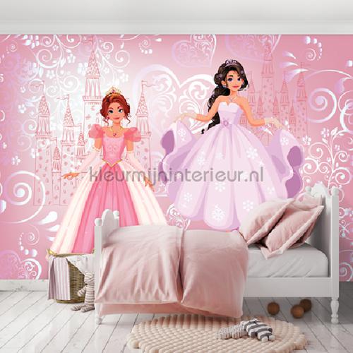 2 princesses and their castle fotomurais Girls Kleurmijninterieur