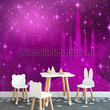 Magic purple castle papier murales Kleurmijninterieur Tout-images