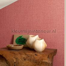 Nongo warm fuchsia papel de parede Arte Gitane 49522