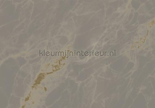 Marble gold metallic fotomurales MW-054 Moderno - Abstracto Kek Amsterdam