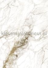 Marble fotomurales Kek Amsterdam PiP studio wallpaper 