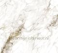 Marble gold metallic fotomurali MW-059 Moderno - Astratto Stili