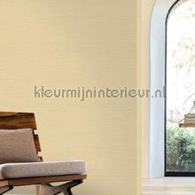 Zostera coquille papel de parede Casamance Golfe du Bengale 75971834