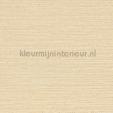 Zostera coquille papel de parede Casamance Golfe du Bengale 75971834