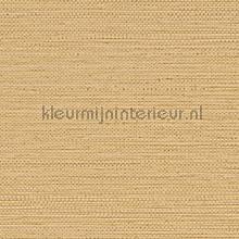 Zostera paille papel de parede Casamance Golfe du Bengale 75971936