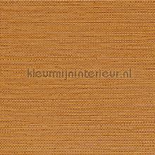 Zostera terre de sienne papel de parede Casamance Golfe du Bengale 75972038