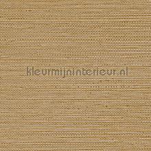 Zostera mordore papel de parede Casamance Golfe du Bengale 75972140