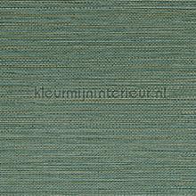 Zostera emeraude papel de parede Casamance Golfe du Bengale 75972344