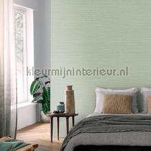 Zostera amande wallcovering Casamance all images 