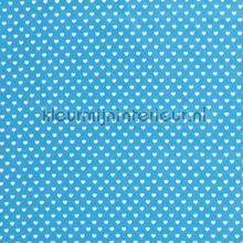 Hartjes stof aqua stoffer Kleurmijninterieur All-images