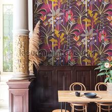 Jose radiance wallcovering HAV006 Exotic Khroma