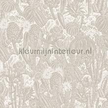 Cactus oyster wallcovering Khroma Vintage- Old wallpaper 