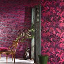 Eduardo viola papel de parede HAV802 Trendy Khroma