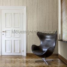 wallcovering Hermitage