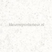 Metallic corrosieprint behang Noordwand Modern Abstract 