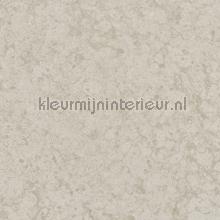 Metallic corrosieprint behang Noordwand Modern Abstract 