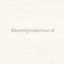 Natuurlijk weefsel structuur wallcovering Noordwand Vintage- Old wallpaper 