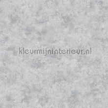 Metallic betontsructuur tapeten Noordwand uni farben 