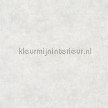 Metallic betontsructuur tapeten Noordwand uni farben 