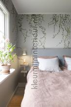 Aralia moss green fotobehang Sandberg Bloemen Planten 