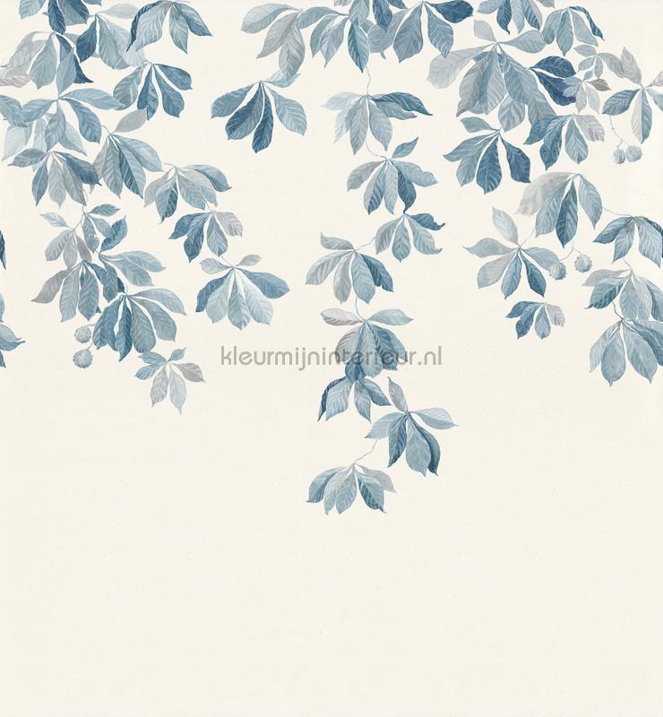 Kastanjen soft blue fotomurali S10172 Fiori - Pianta Sandberg